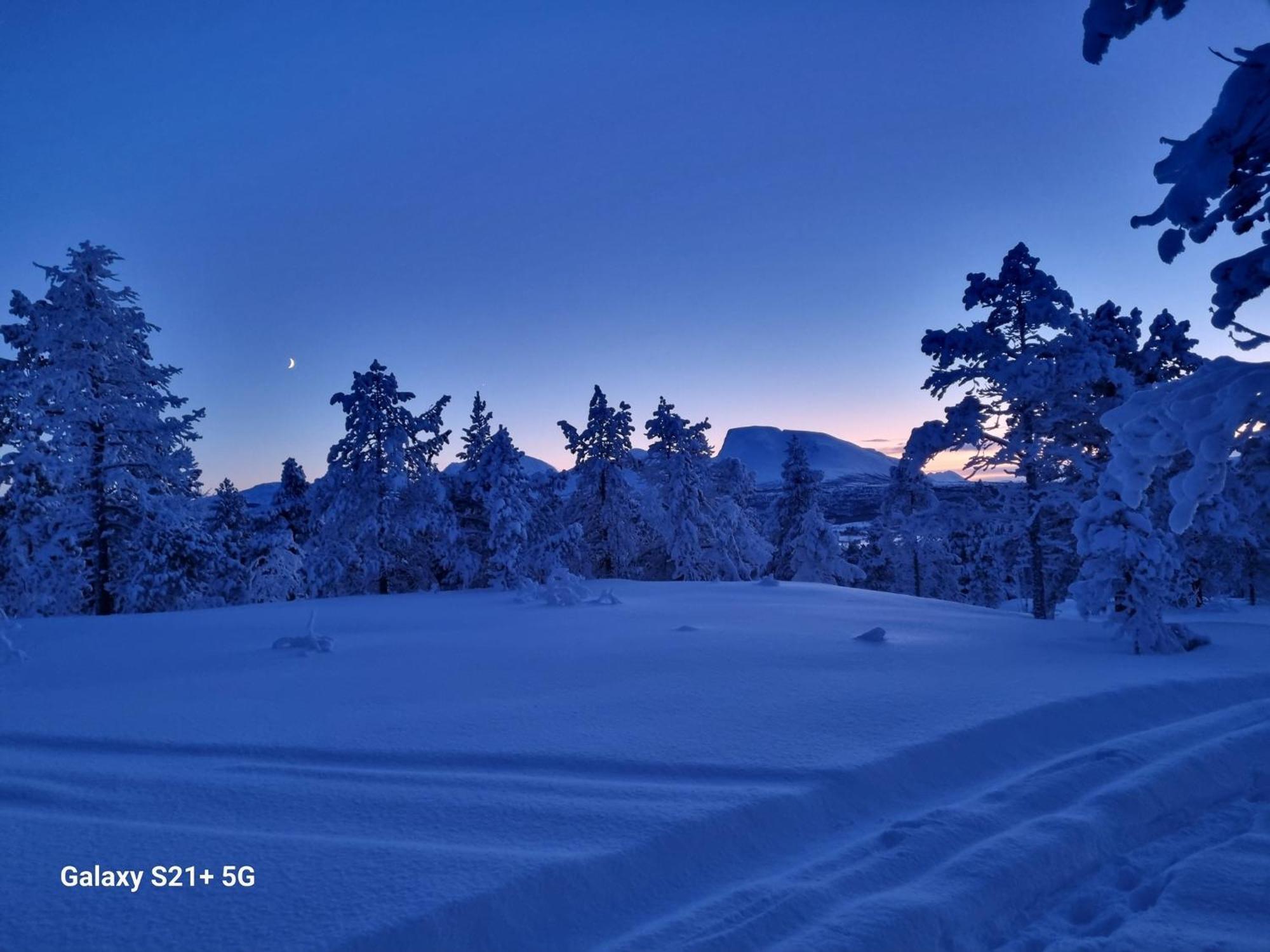 Malangen Lodge Mestervik Buitenkant foto