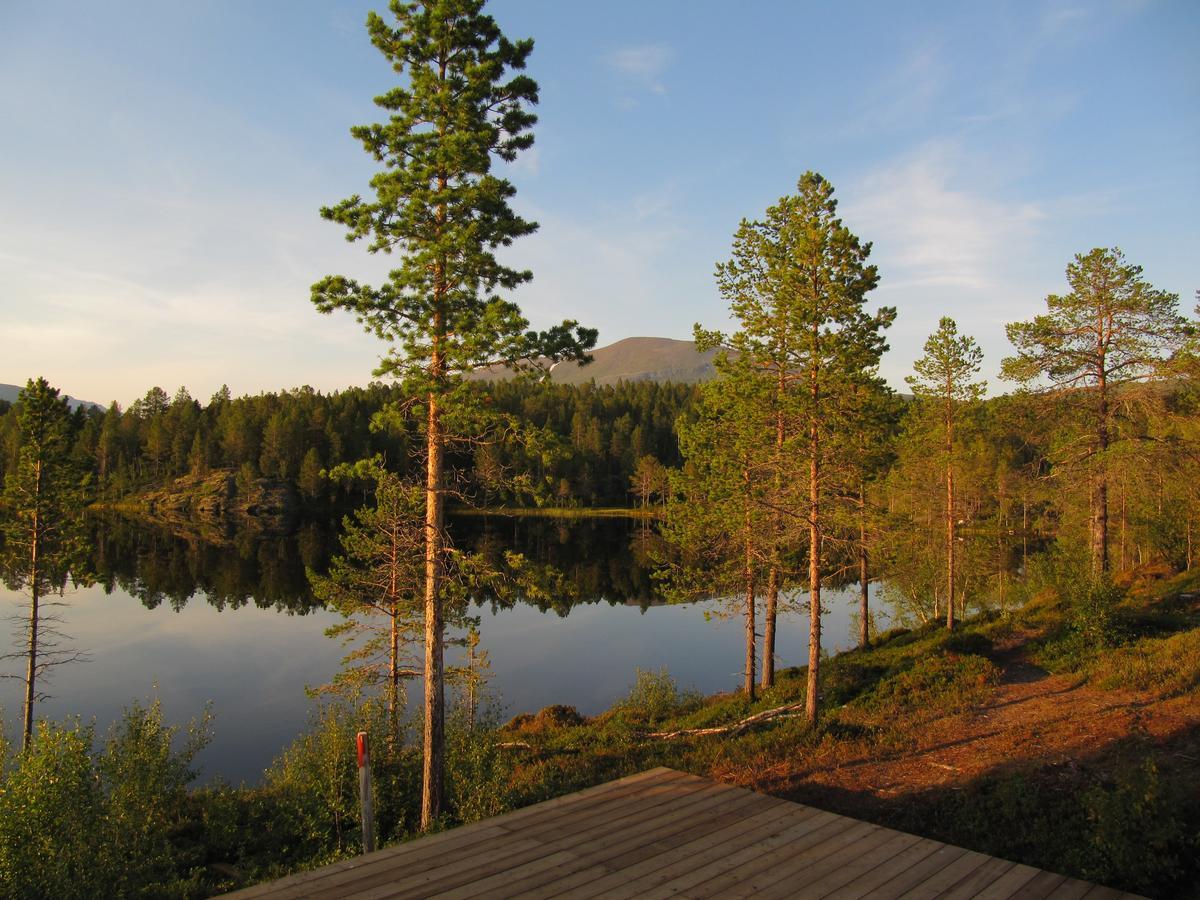 Malangen Lodge Mestervik Buitenkant foto