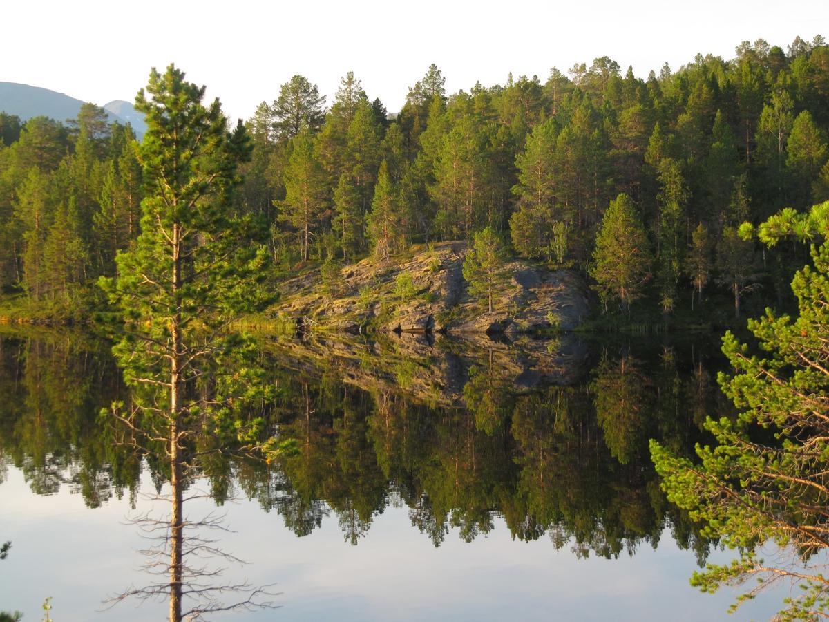 Malangen Lodge Mestervik Buitenkant foto
