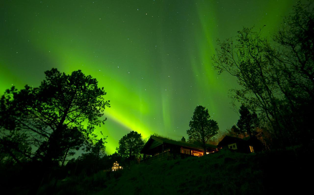 Malangen Lodge Mestervik Buitenkant foto