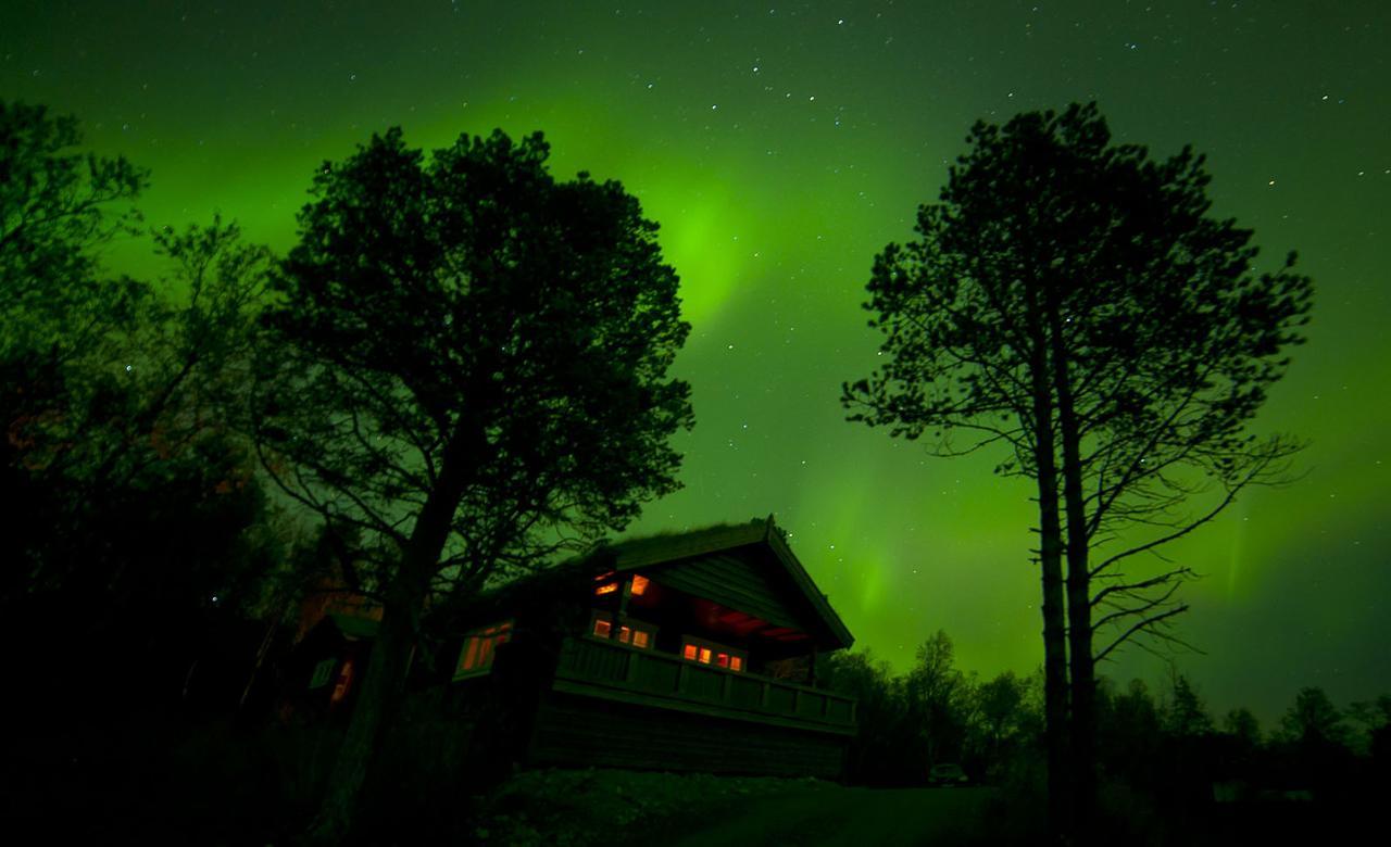 Malangen Lodge Mestervik Buitenkant foto