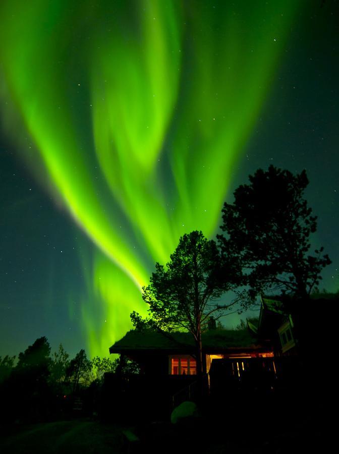 Malangen Lodge Mestervik Buitenkant foto