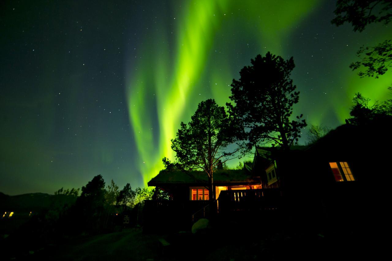 Malangen Lodge Mestervik Buitenkant foto