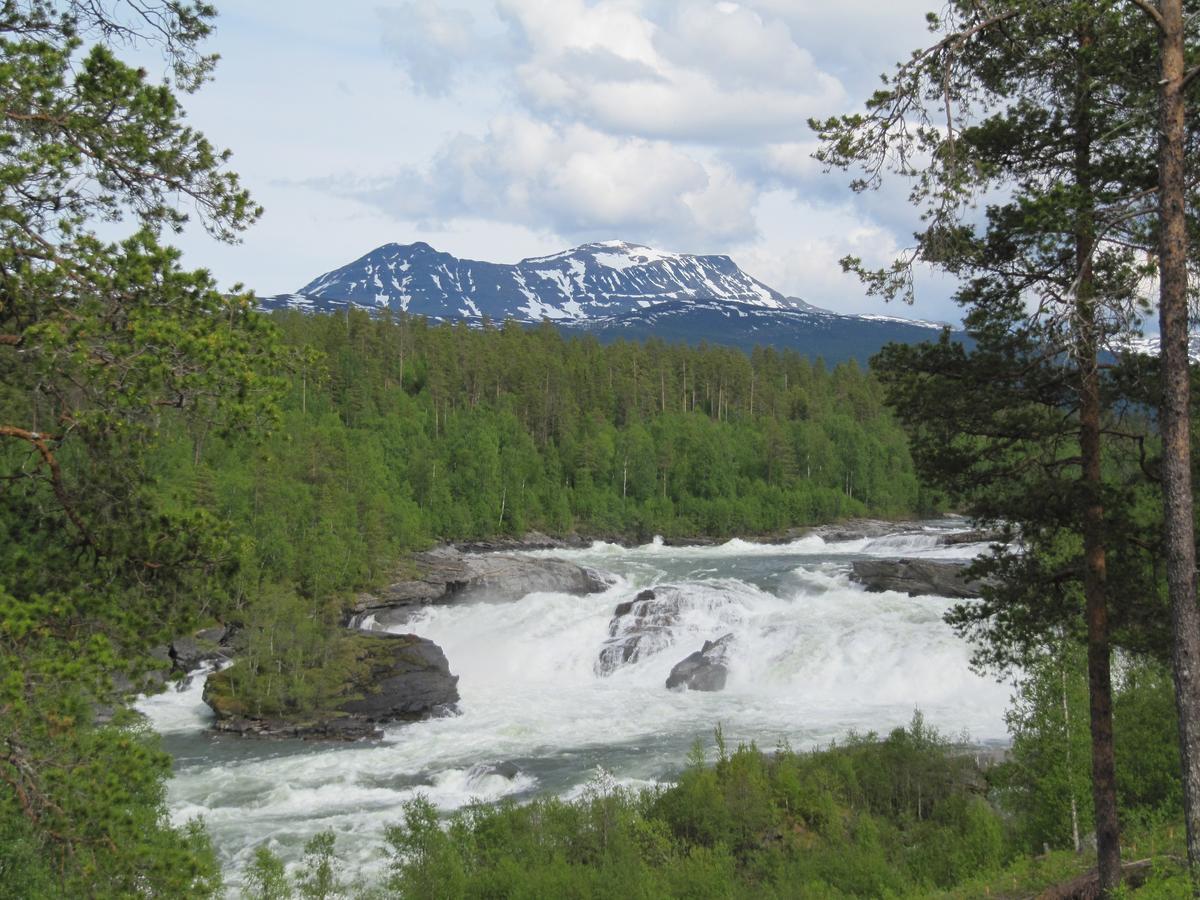Malangen Lodge Mestervik Buitenkant foto
