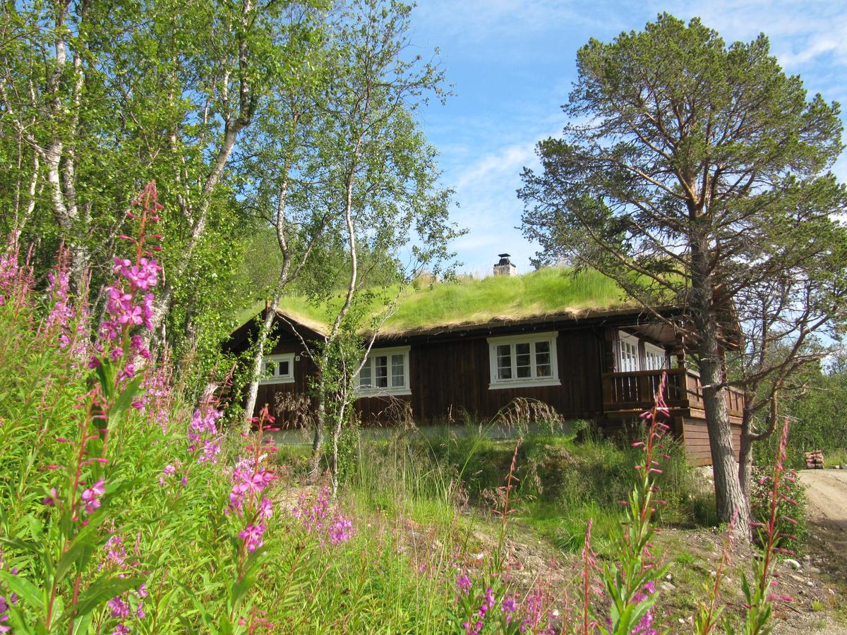 Malangen Lodge Mestervik Buitenkant foto